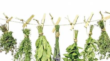 Vaso de Proteo com Sete Ervas