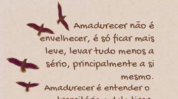 A Mulher Segura sabe sempre o que quer e o que no quer.