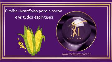 O milho: benefcios para o corpo e virtudes espirituais