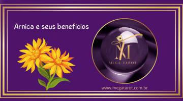 Arnica e seus benefcios