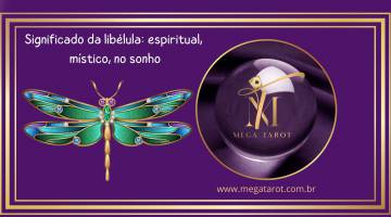 Significado da liblula: espiritual, mstico, no sonho, tatuagem e mais!
