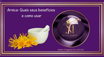 Arnica: Quais seus benefcios e como usar