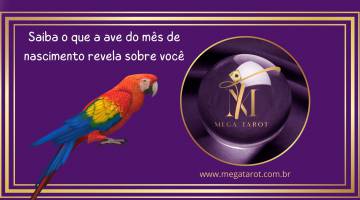 Saiba o que a ave do ms de nascimento revela sobre voc