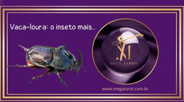 Vaca-loura: o inseto com apar�ncia assustadora, que tem papel vital para a biodiversidade