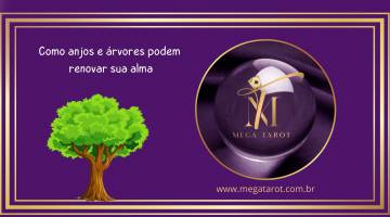 Como anjos e rvores podem renovar sua alma