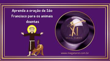 Aprenda a ora��o de S�o Francisco para os animais doentes
