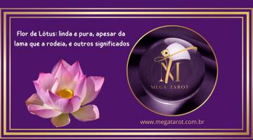 Flor de L�tus: linda e pura, apesar da lama que a rodeia, e outros significados