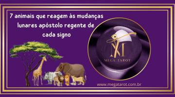 7 animais que reagem s mudanas lunares