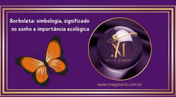 Borboleta: simbologia, significado no sonho e importncia ecolgica