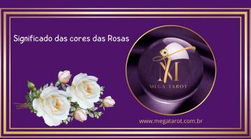 Significado das cores das Rosas