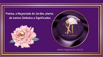 Penia, a Majestade do Jardim, planta de tantos Smbolos e Significados