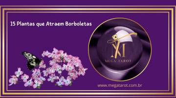 15 Plantas que Atraem Borboletas