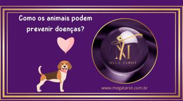 Como os animais podem prevenir doen�as?
