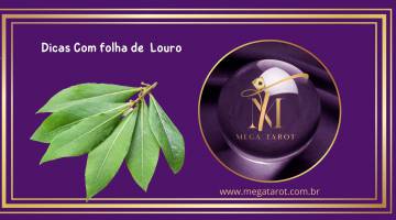 Dicas Com folha de  Louro