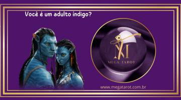 Voc� � um adulto �ndigo?