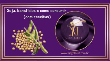 Soja: benef�cios e como consumir (com receitas)