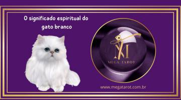 O significado espiritual do gato branco