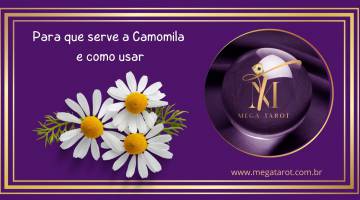 Para que serve a Camomila e como usar