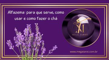 Alfazema: para que serve, como usar e como fazer o ch�
