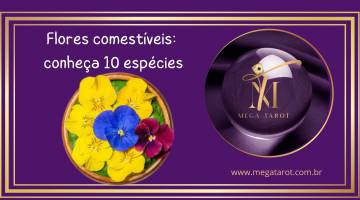 Flores comest�veis: conhe�a 10 esp�cies
