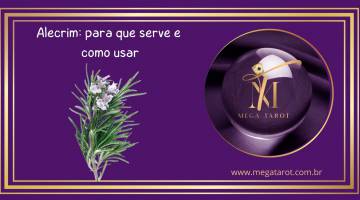 Alecrim: para que serve e como usar
