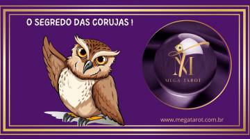 O SEGREDO DAS CORUJAS !