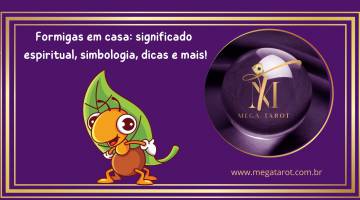 Formigas em casa: significado espiritual, simbologia, dicas e mais!