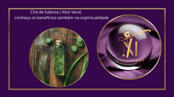 Veja abaixo os 5 principais significados da Babosa na magia natural