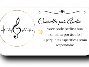 Atendimento via Audio